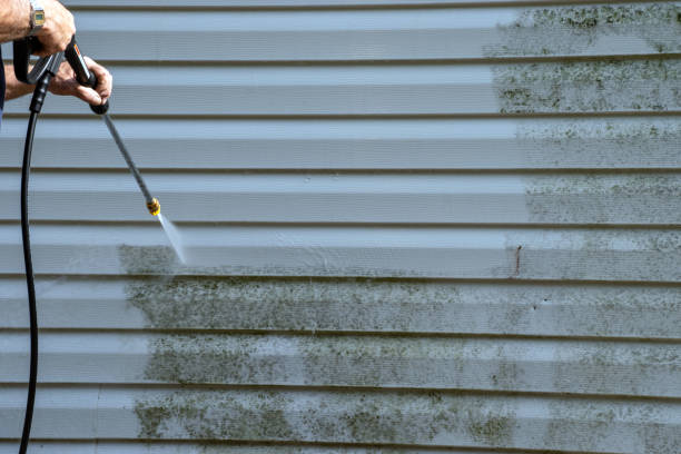 Best Hoarding Cleanup  in Des Peres, MO