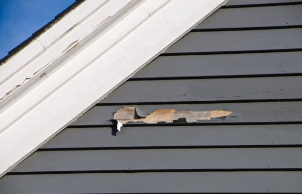  Des Peres, MO Junk Removal Pros